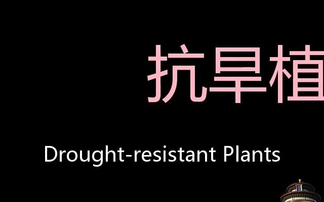 抗旱植物 Chinese Pronunciation Droughtresistant plants哔哩哔哩bilibili