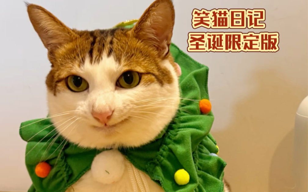 笑猫日记 圣诞限定版哔哩哔哩bilibili