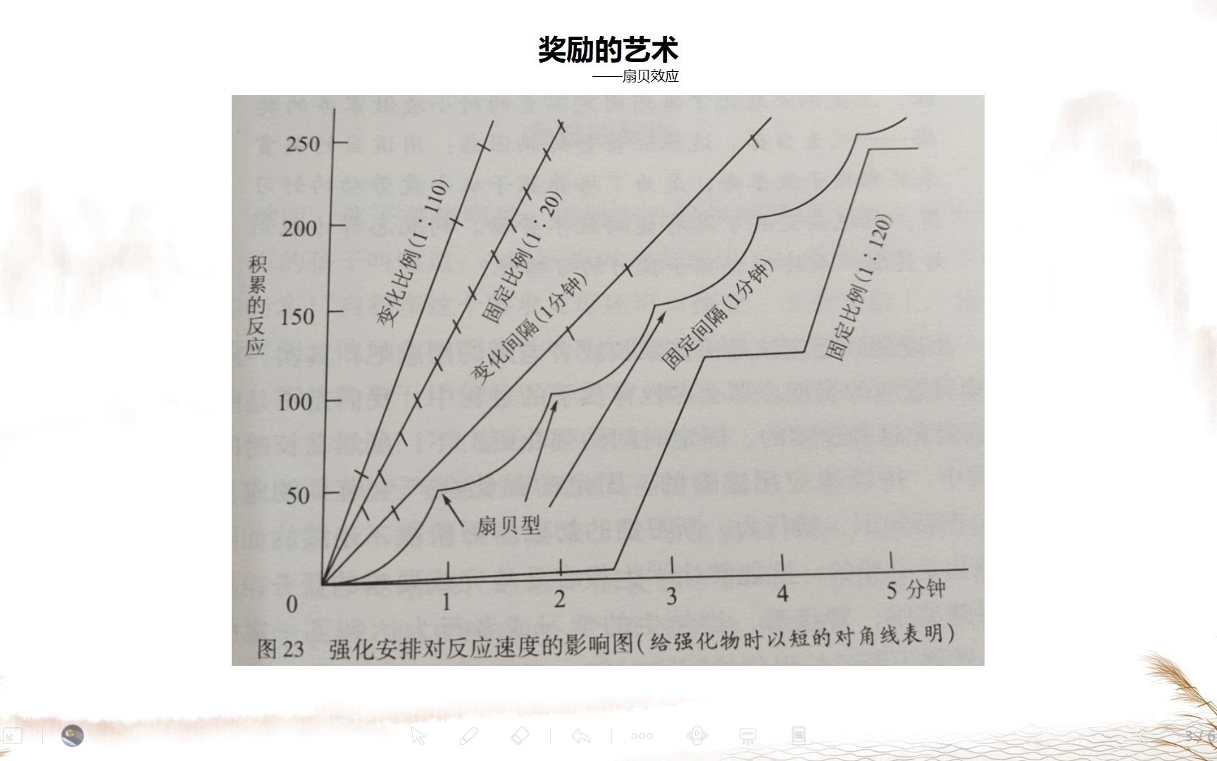 《教育中的心理效应》(17)哔哩哔哩bilibili