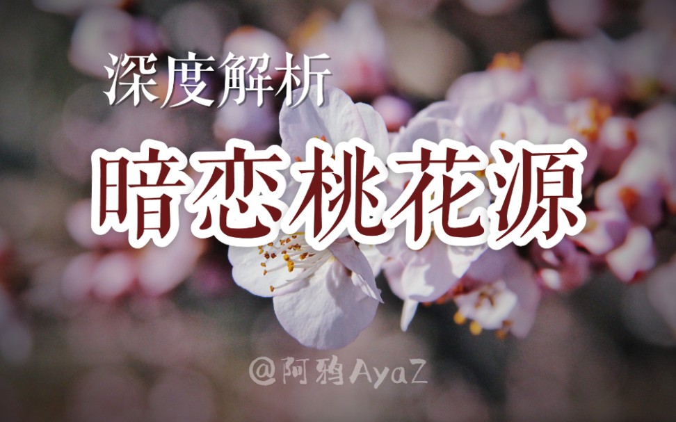 万字长评|深度解读《暗恋桃花源》:剧场篇哔哩哔哩bilibili