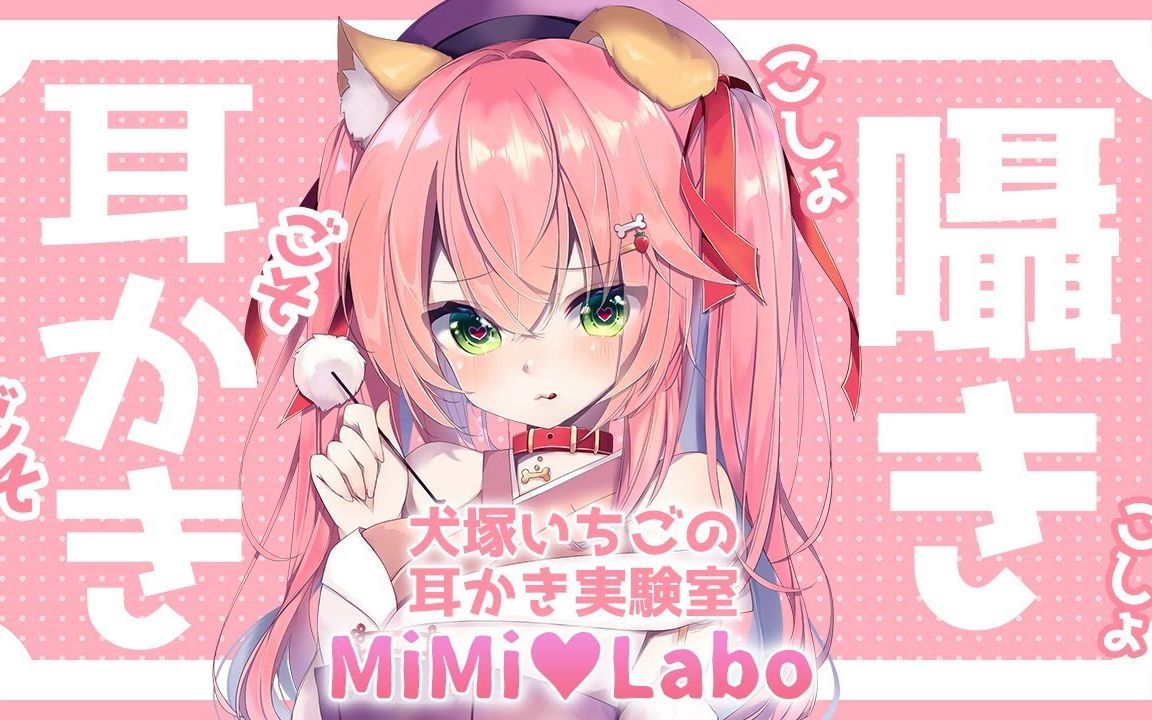 【健康内容】君たちのお耳を実験台にする.MiMi♥Labo【犬塚いちご】哔哩哔哩bilibili