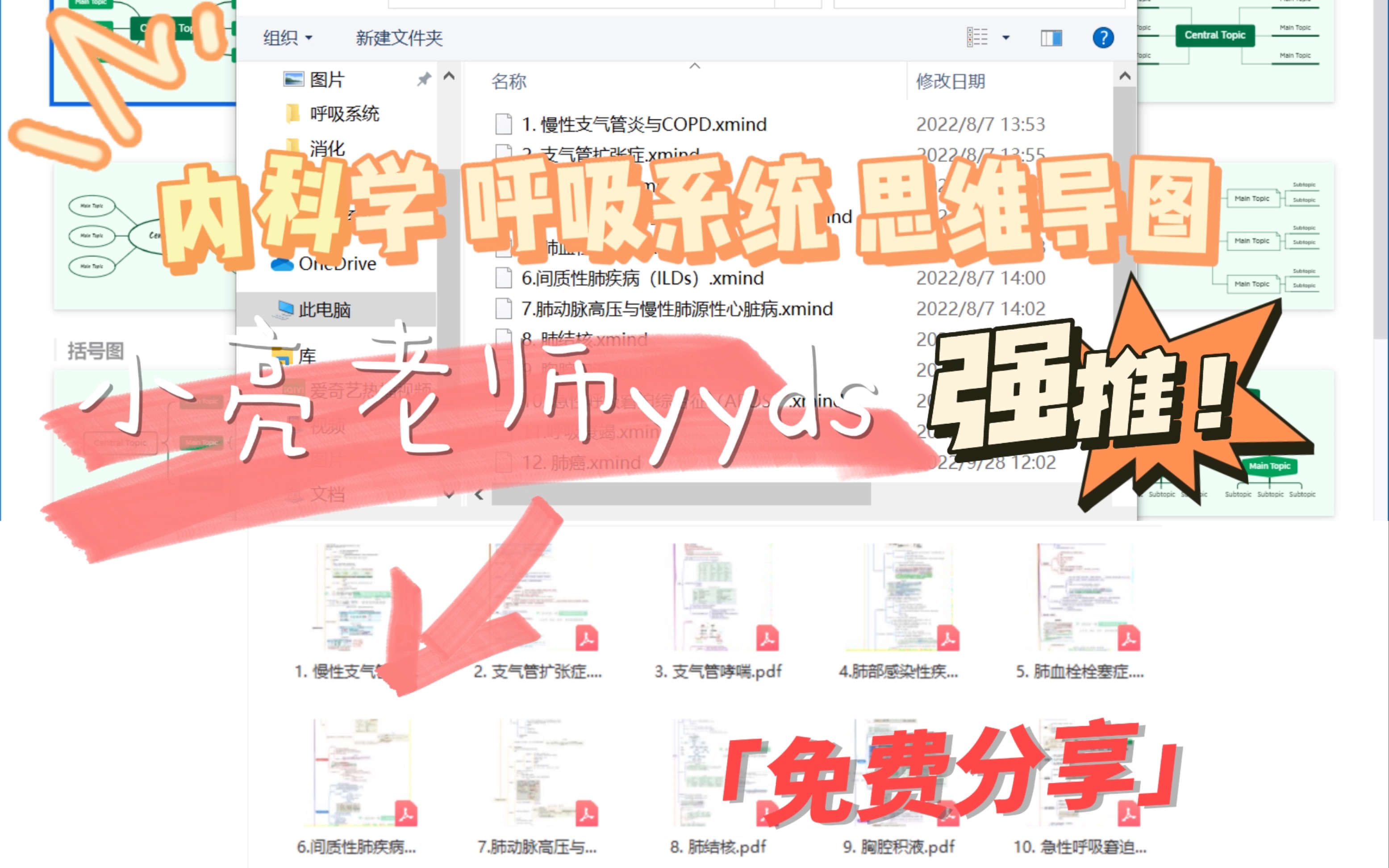 内科学|呼吸系统|思维导图|免费分享|根据小亮老师(YYDS)和教材整理哔哩哔哩bilibili