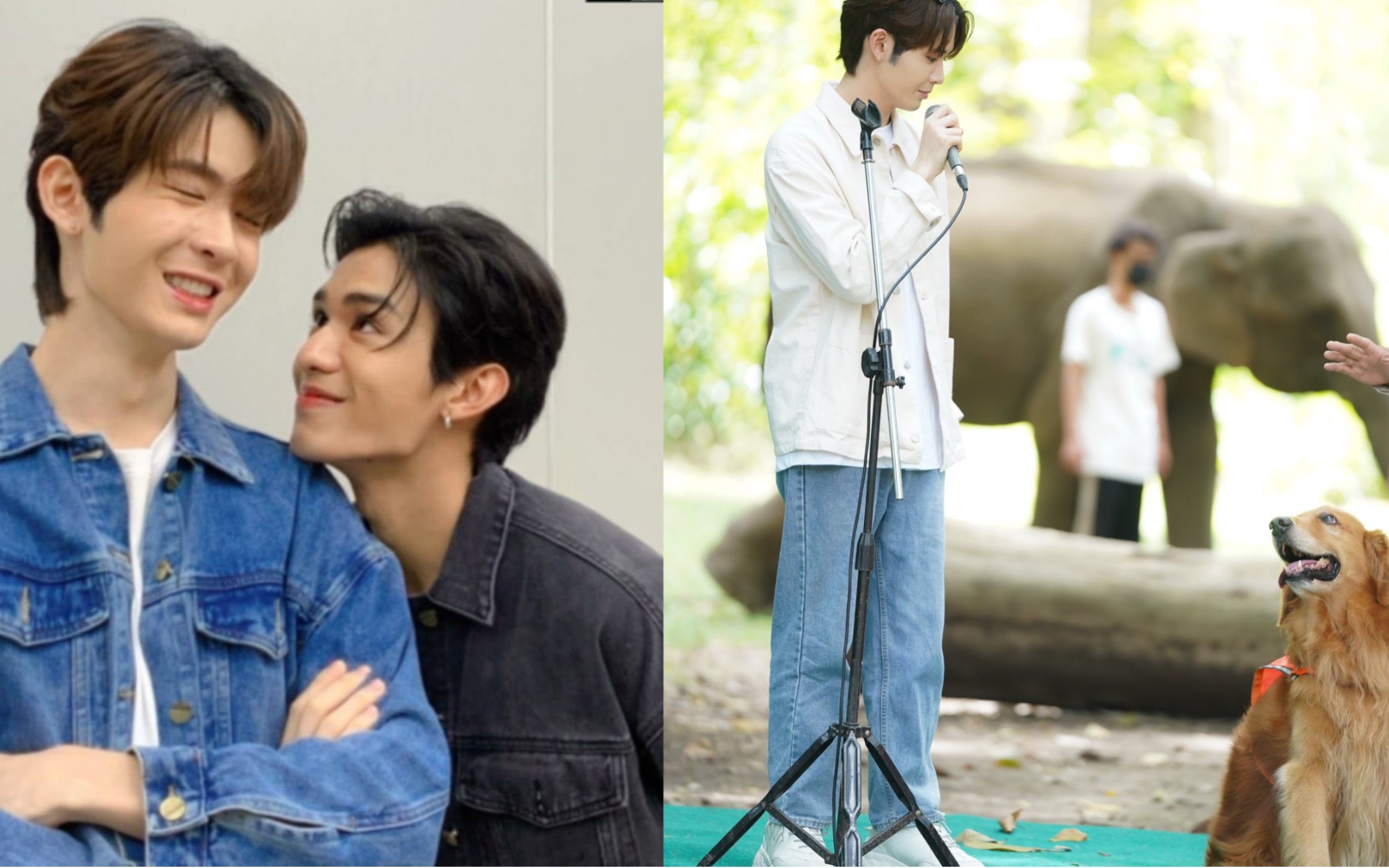 【netjames】我的狗狗男友之"挑战一分钟不摸狗狗"