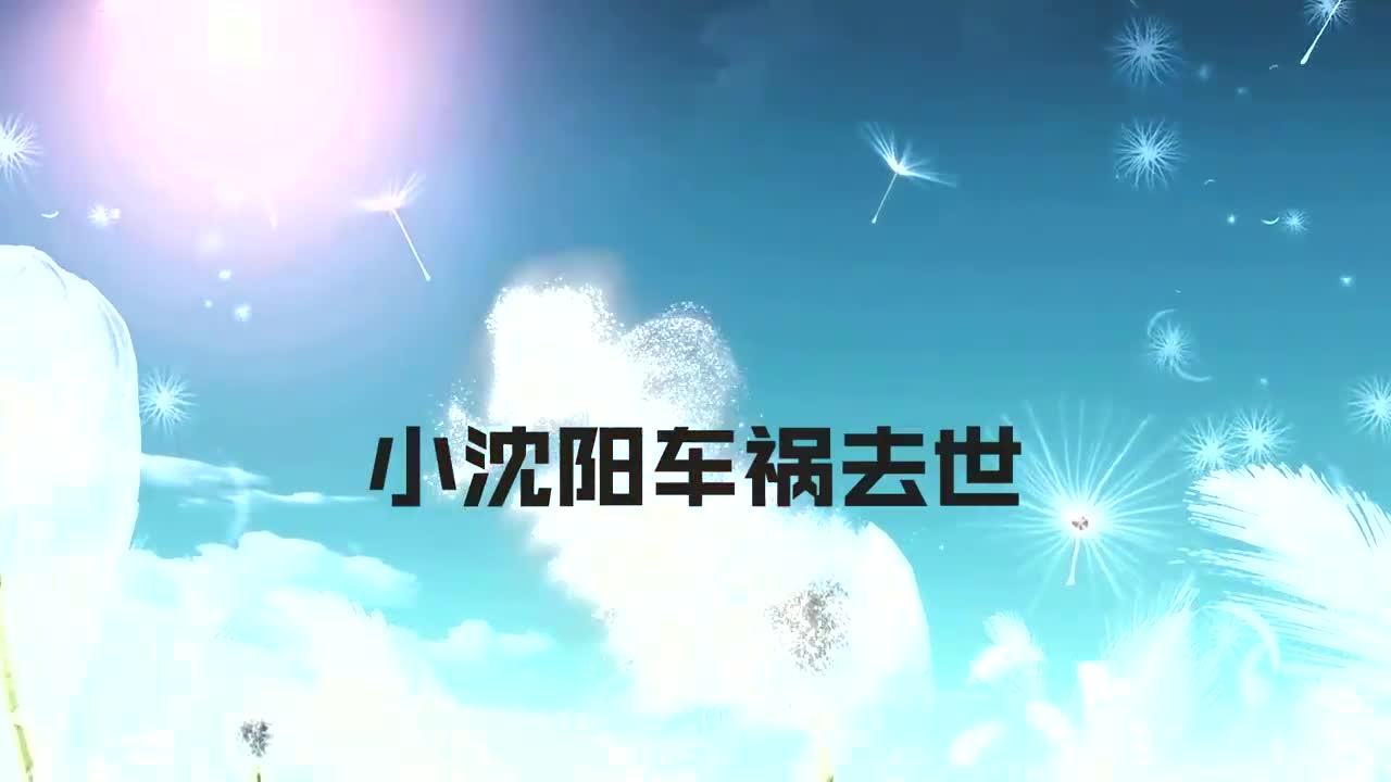 小沈阳车祸去世?葬礼照片流出让人不敢相信,本尊回应:我好好的哔哩哔哩bilibili