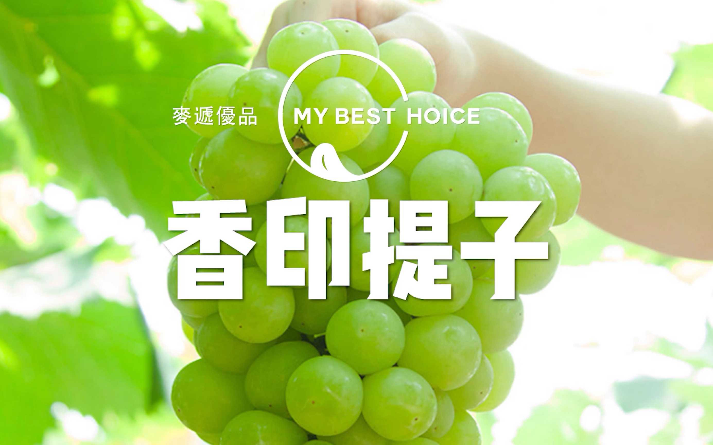 香印提子是日本国宝水果在内地翻译成阳光玫瑰它有其它提子没有的玫瑰