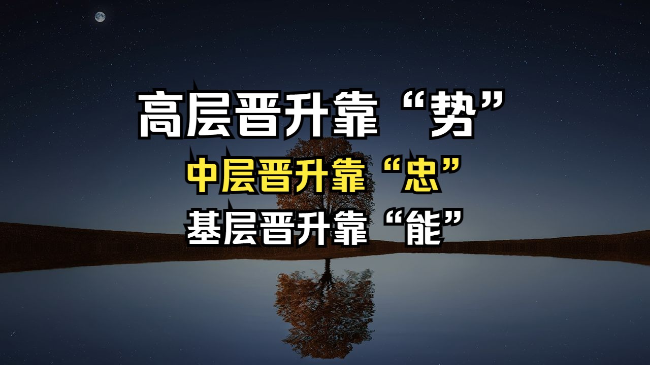 经验贴:讲透各层晋升的潜规则&人生真正的职业规划哔哩哔哩bilibili