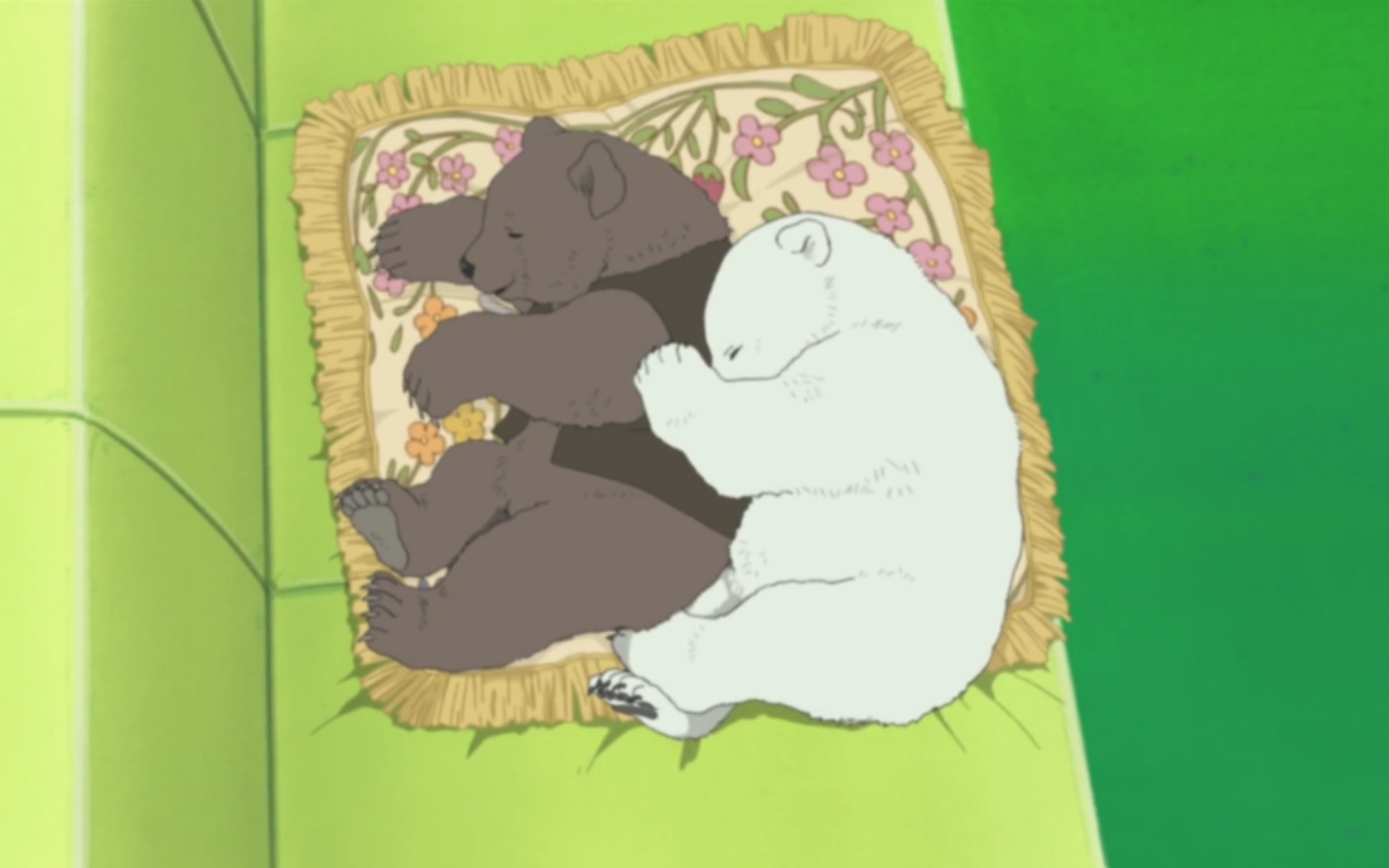 【短片】白熊咖啡厅→受欢迎的白熊_哔哩哔哩 (゜-゜)つロ 干杯~-bili