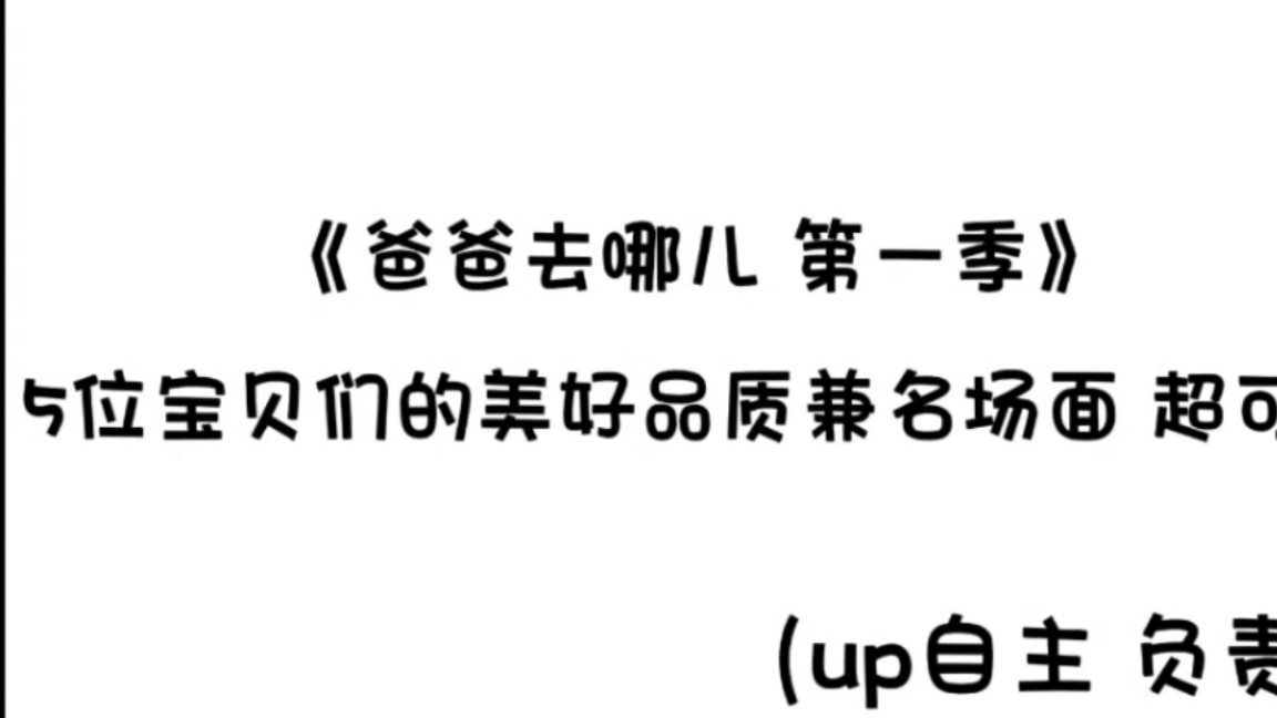 《爸爸去哪第一季》各位宝贝的名场面和温暖片段第一弹哔哩哔哩bilibili