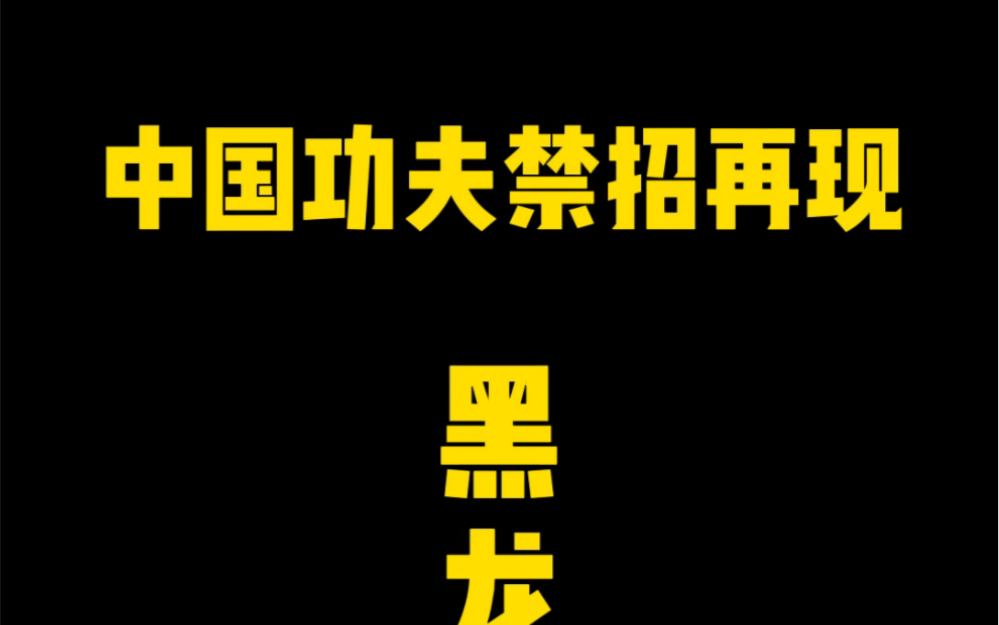 [图]中国功夫黑龙十八手第一式-第十式实战演示#格斗 #防身术 #一招制敌