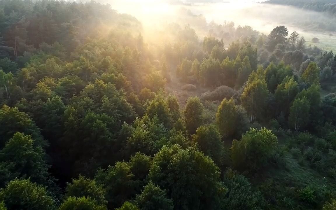 [图]轻音乐风景，放松舒缓压力，感受安静大自然，感受优美宁静的大地，拥有一个美好的早晨。