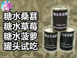 下载视频: 【大林军粮】来一点点水果——糖水桑葚+糖水菠萝+糖水草莓罐头试吃