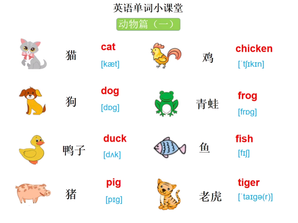 英语单词小课堂(动物篇)哔哩哔哩bilibili