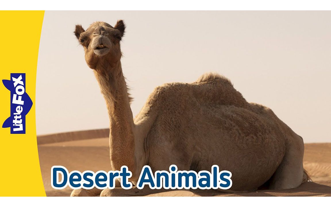 [图]Fascinating World of Desert Animals ｜ Meet Camels, Geckos, Ostriches, and More l