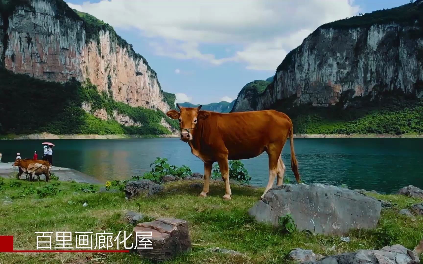 [图]乌江源百里画廊化屋风景区，位于贵州省黔西市，这里湖水清澄，两岸峡谷险峻，气势恢宏，岸边有牧民放牛羊，游客还搭建了帐篷露营