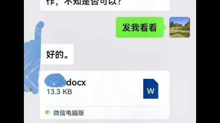 于2005年,凭借扎实的翻译功底,我有幸步入翻译这个行业.哔哩哔哩bilibili