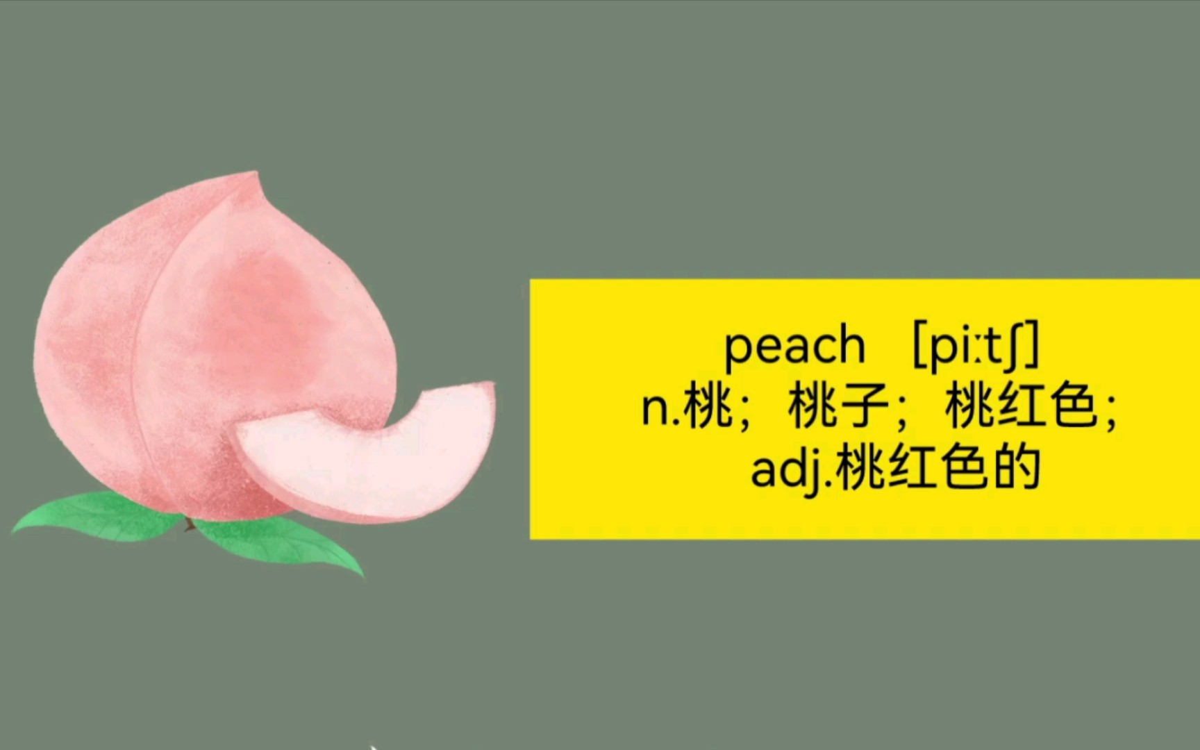 桃子𐟍‘peach的英语来源故事哔哩哔哩bilibili