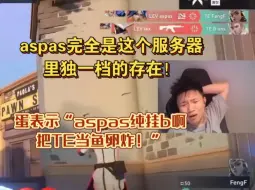 Tải video: aspas完全是这个服务器里独一档的存在！但表示“aspas纯挂b啊，把TE当鱼卵炸！”