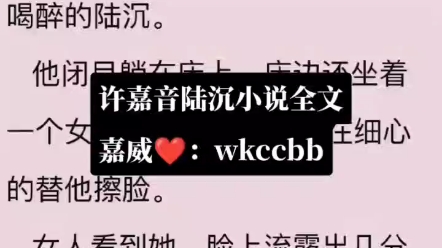 许嘉音陆沉小说又名《许嘉音陆沉》许嘉音陆沉小说全文大结局哔哩哔哩bilibili