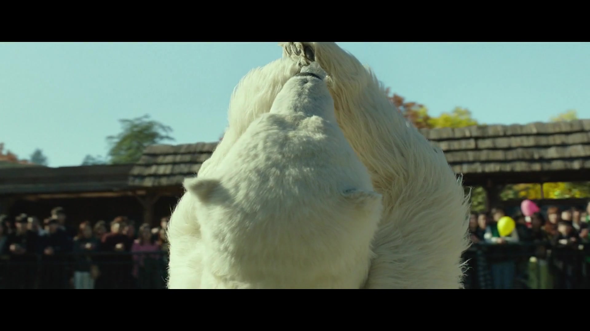 神秘动物园_哔哩哔哩_bilibili