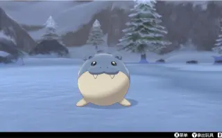 海豹球 搜索结果 哔哩哔哩 Bilibili