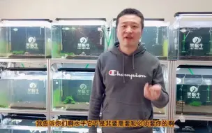 下载视频: 水晶虾没有泥能活吗