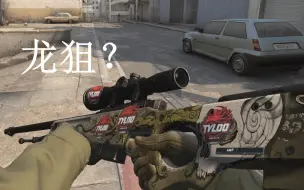 Download Video: 【CSGO】当玩了10小时的萌新把虫狙当成了龙狙