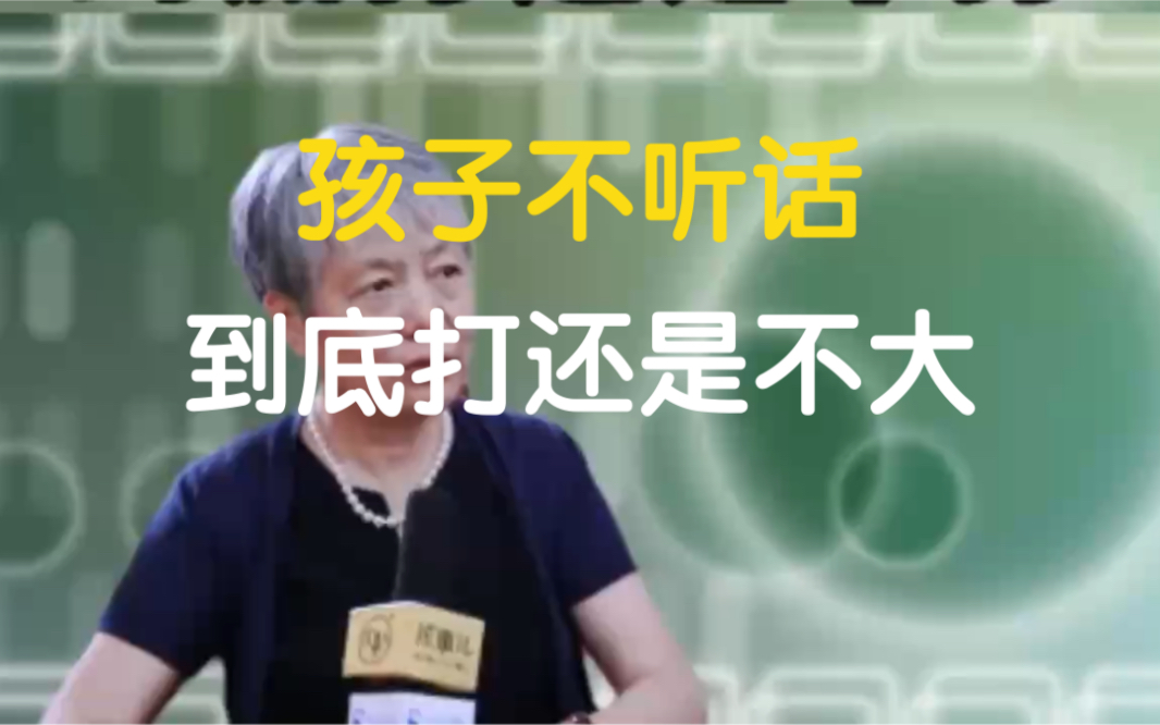 李玫瑾教授:孩子不听话,到底打还是不打哔哩哔哩bilibili