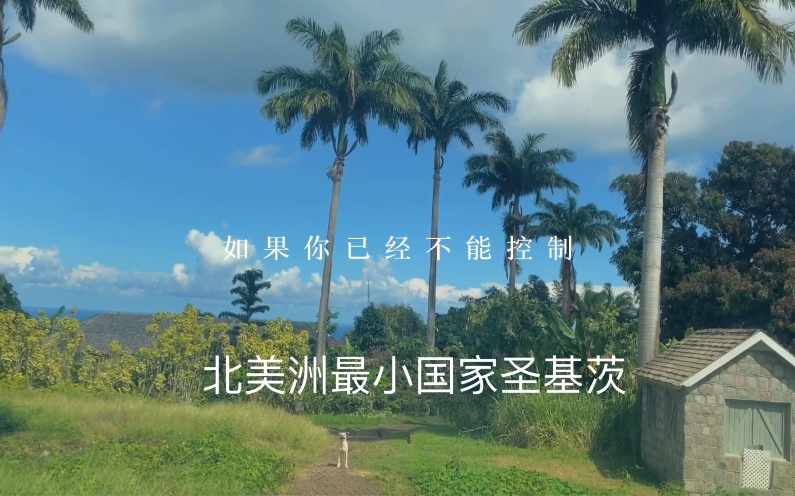 北美洲最小国家圣基茨移民鼻祖国家