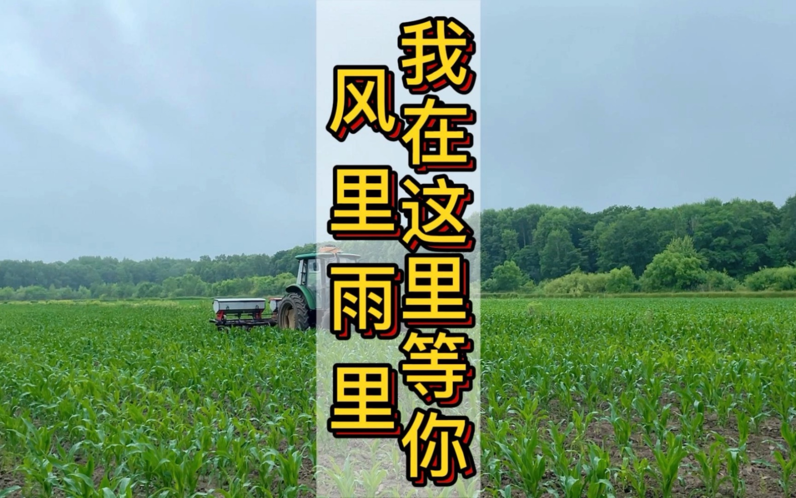 风里雨里我在这里等你虽然下着雨但是也无法阻挡我们下地干活的