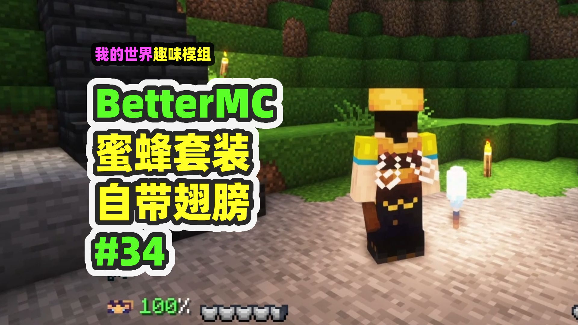 [图]我的世界：BetterMC34，蜜蜂套装有翅膀，再次打龙成为传说