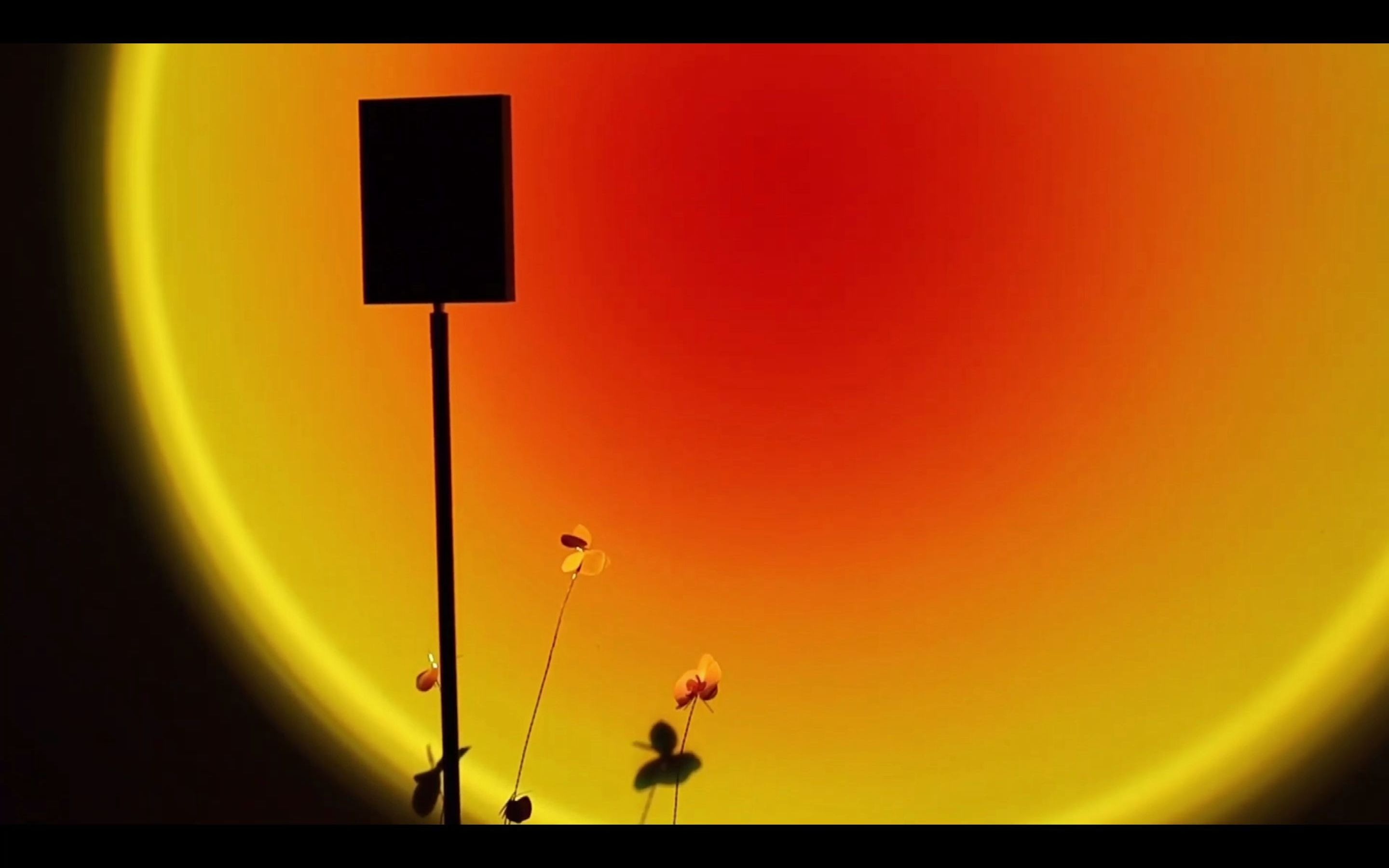 活动  halo edition 日落灯-由米兰mandalaki studio设计