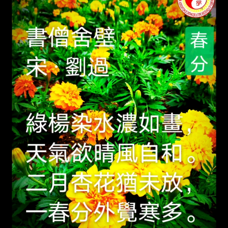 是日春分春分的“分”有两个含义:1.指“春分秋分,昼夜平分”.资料源自网络曲:春分制作:庄子庄哔哩哔哩bilibili