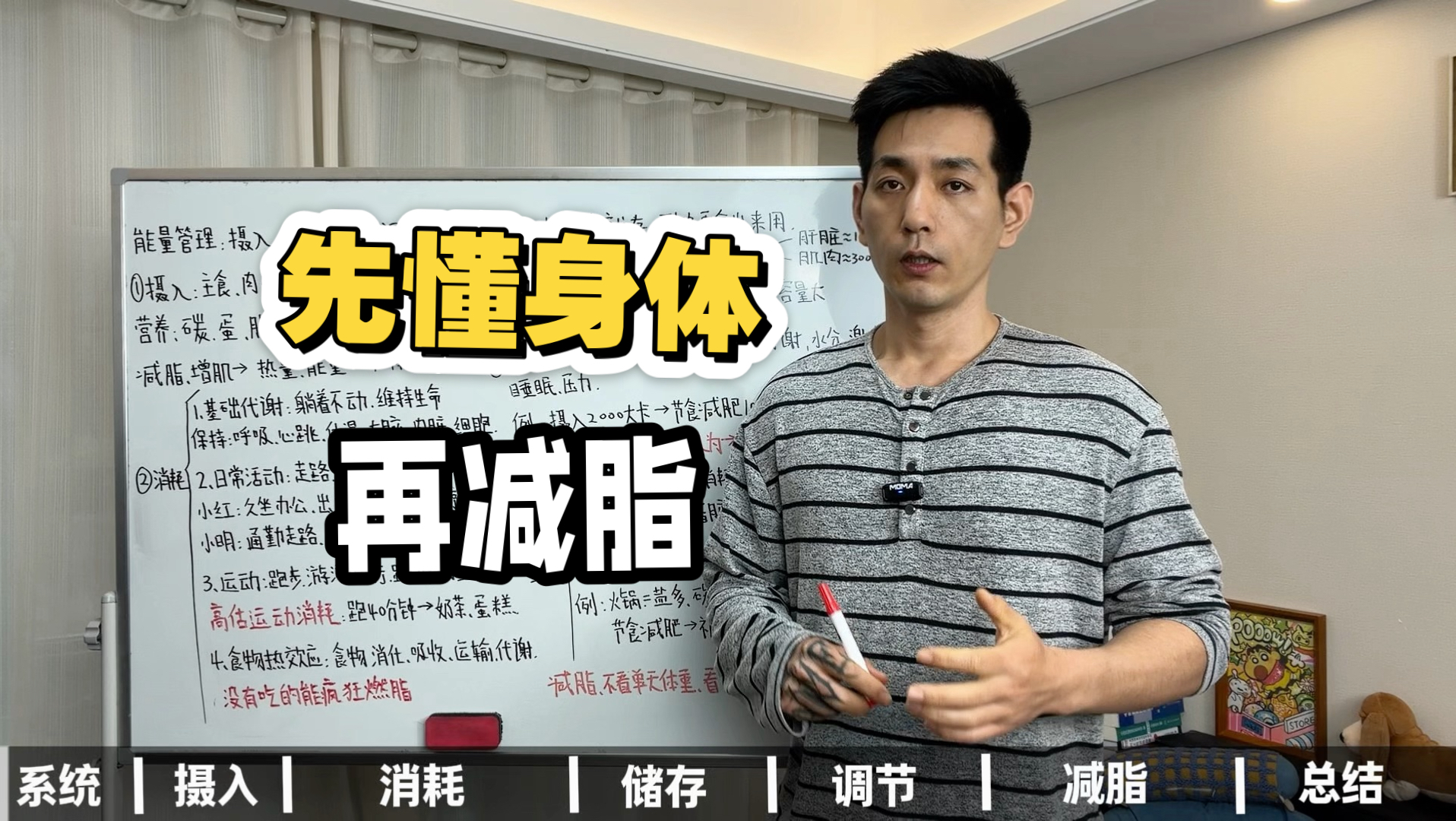 减脂底层逻辑01｜身体到底是怎么运作的
