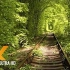 3小时鸟叫声+环境音 | 在乌克兰爱情隧道散步 Tunnel of Love Klevan, Ukraine | 学习背