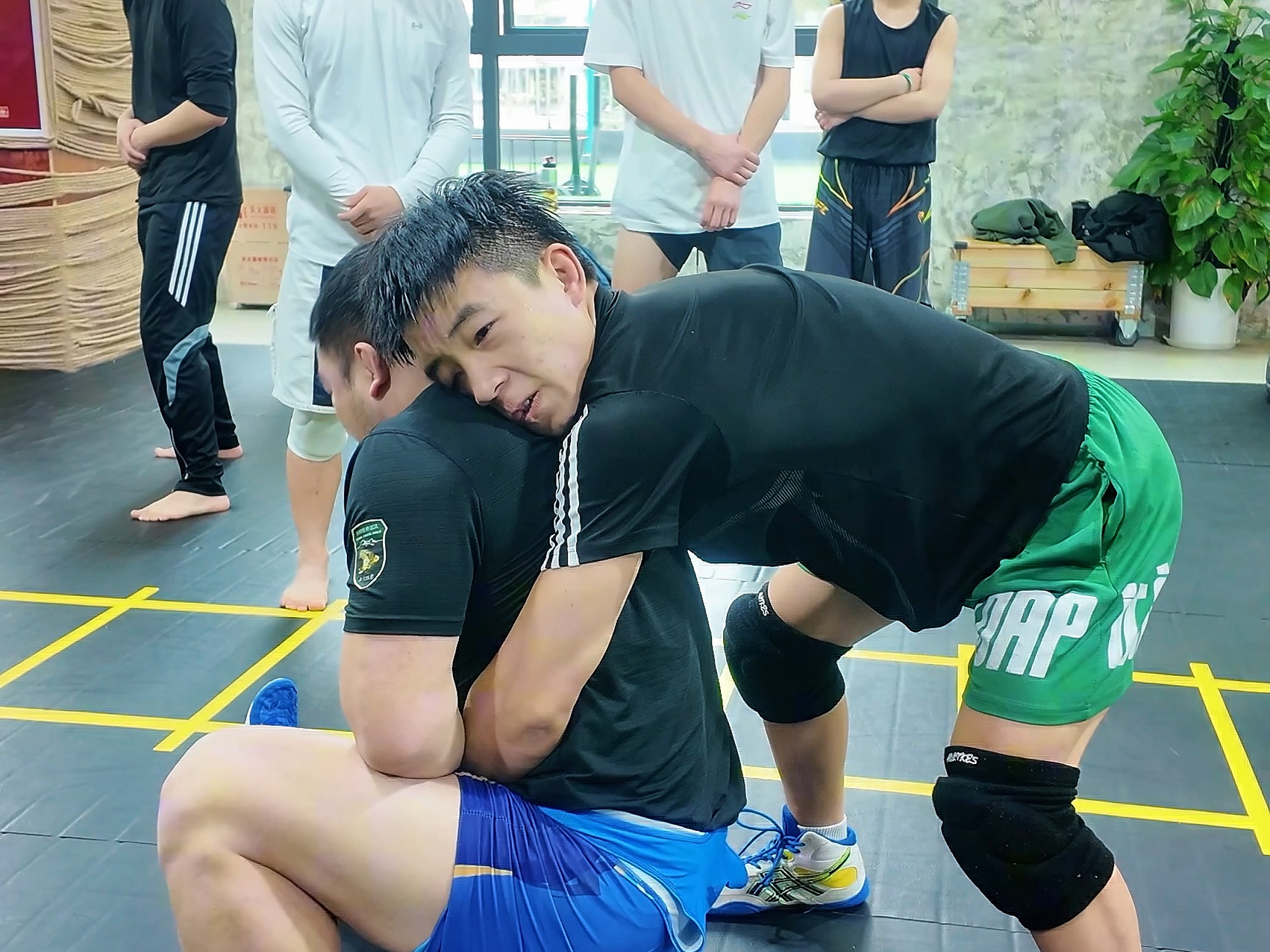 ufc综合格斗在哪里看(ufc综合格斗在哪里看直播)