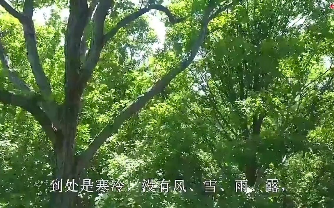 五年级语文上册课文朗读合集配电子版知识点习题 小学语文五年级上册语文 16 太阳哔哩哔哩bilibili