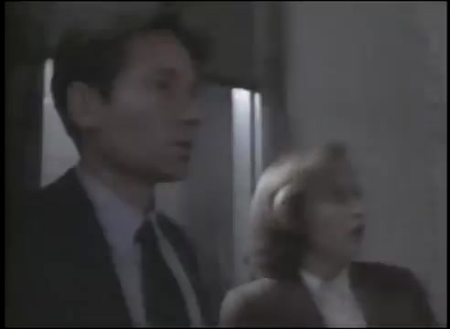 [图]Mark Snow - The X-Files (Terrestrial Mix)