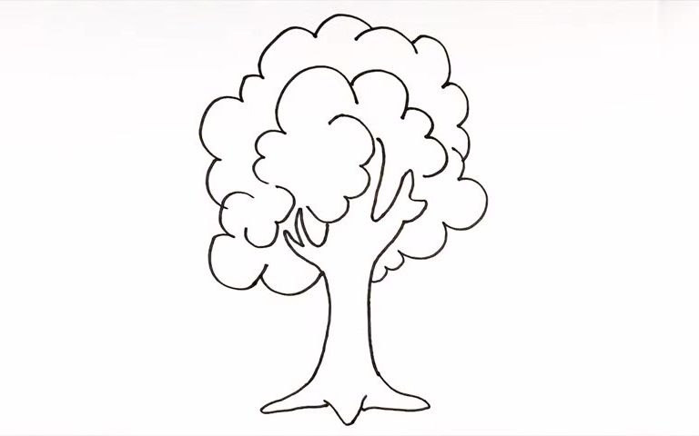 画一棵树简笔画图片