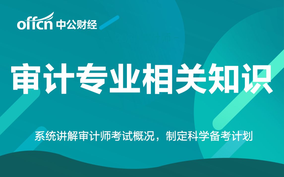 2020初中级审计师审计专业相关知识【第一部分】(持续更新中,记的关注及三连哦)哔哩哔哩bilibili