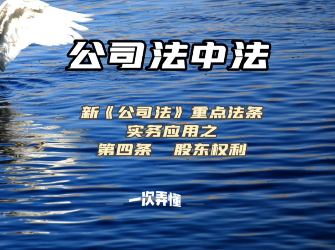 新公司法重点法条实务应用之第四条关于股东权利哔哩哔哩bilibili