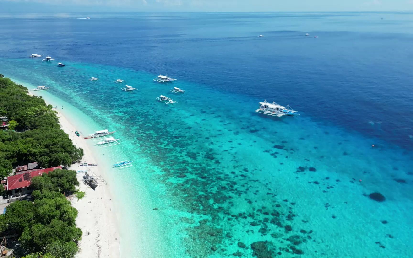 在菲律宾看到了果冻海