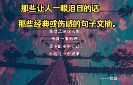 名言 | 那些让人一眼泪目的话,那些经典或伤感的句子文摘.哔哩哔哩bilibili