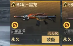 Descargar video: 大型纪录片M4A1黑龙传奇