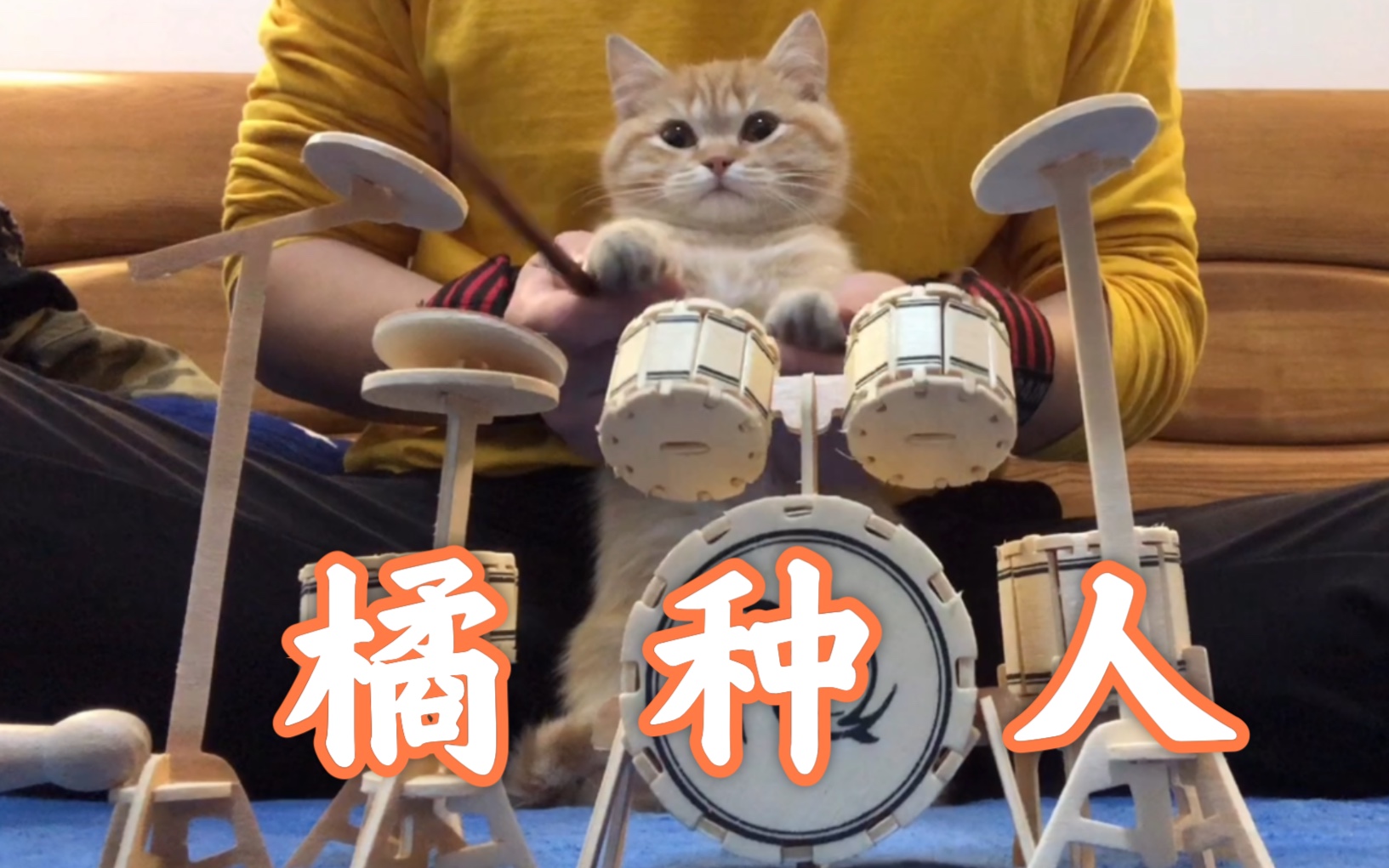 性感橘猫《黄种人》在线营业 色号呼应上了 !哔哩哔哩bilibili