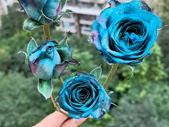 卡布奇诺还可以吸色玩