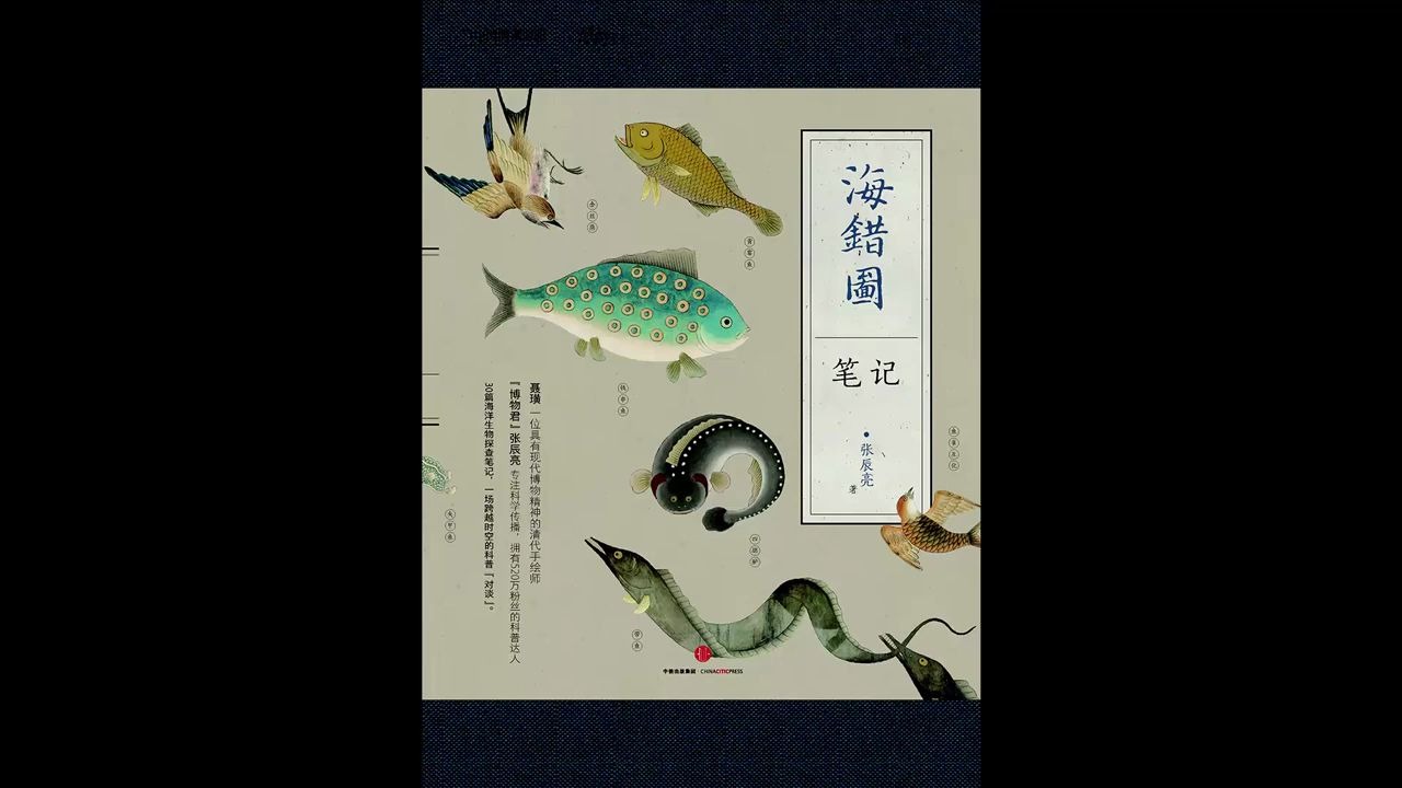 《海错图笔记》聊聊海底生物那些事儿哔哩哔哩bilibili