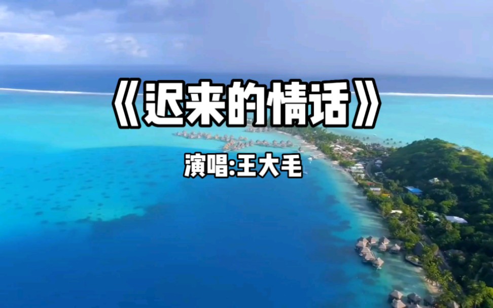 《迟来的情话》演唱:王大毛哔哩哔哩bilibili