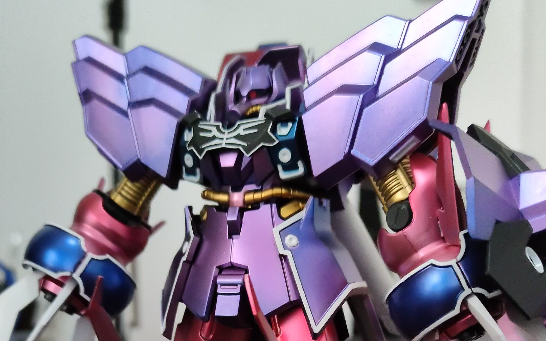 hg 玫瑰祖鲁 制作完成纪念