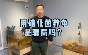 下载视频: 养龟用硝化细菌养水是骗局吗？