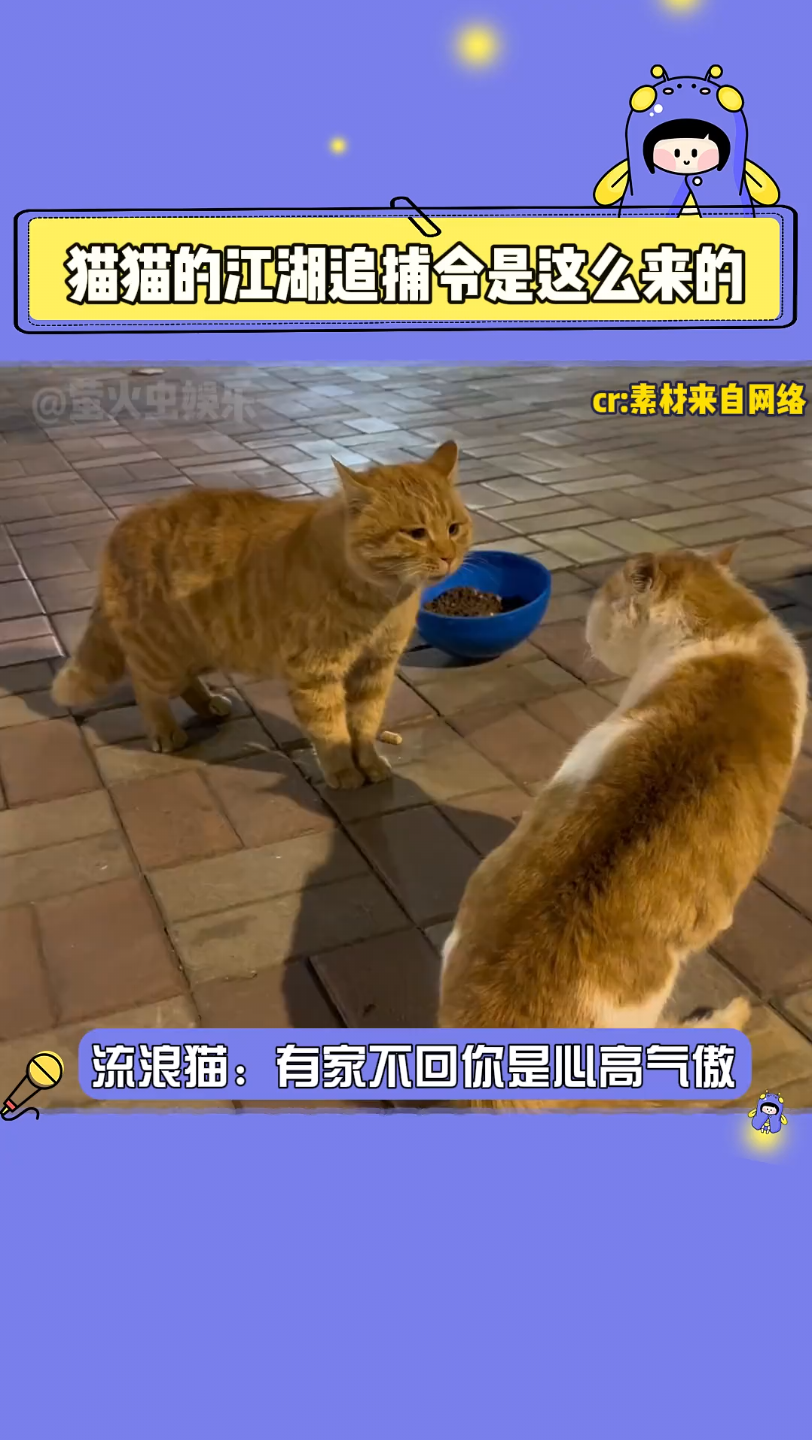 猫猫的江湖追捕令原来是这么来的哔哩哔哩bilibili